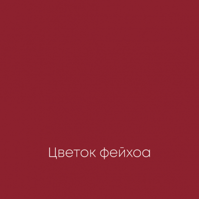 ЦВЕТОК ФЕЙХОА Ideal Matt